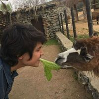 Фотографии пользователя Berke Varol