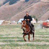 Noam Vaizel的照片