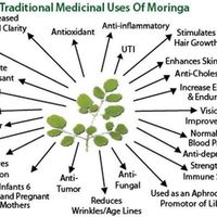 Fotos de Marmar Burbery