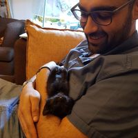 Abdulrahman  Arabi's Photo