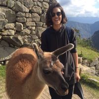 Caro Echevarria的照片