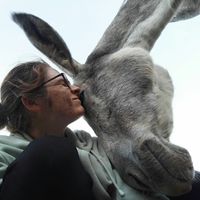 Saulė Semėnaitė's Photo