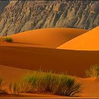 mohammad abu abdullah的照片