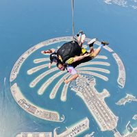 Fotos de Harneet Singh