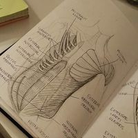 Le foto di Anam Ashfaq