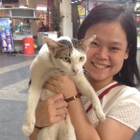 Namfaa Sakulrat的照片