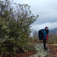 Corinne Fischer's Photo