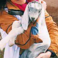 Fotos de Nazlı Merve Erkan