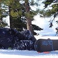 Brandon Moyer's Photo