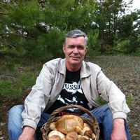 Fotos de Alexandr Podrezov