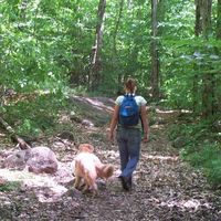 RELEASERINA的照片