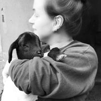 Photos de Larissa Florêncio