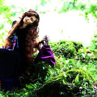 Silente Abstrusa's Photo