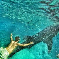 Guille Quintana's Photo