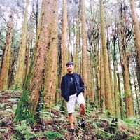 Photos de Jason Shen