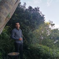 othmane mahfoud's Photo