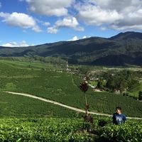 Fotos de Sago Talmi Akhri