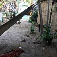 Paco Muñoz的照片