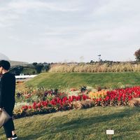 Photos de Kento Kato