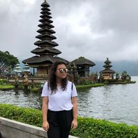 Zina Nguyen的照片