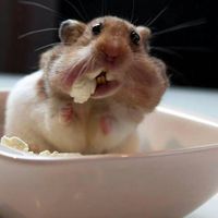 Ruben Reyna Jr.'s Photo