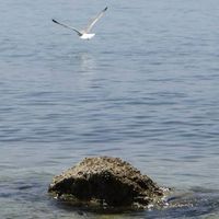 Astrid Jurić的照片