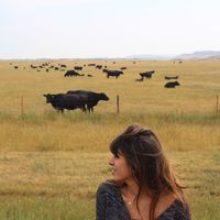 Fotos de Elena Katan