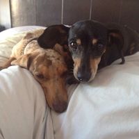 Laurethe Merwe's Photo