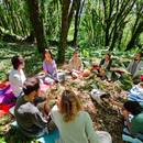 Foto de Vienna Forest Bathing