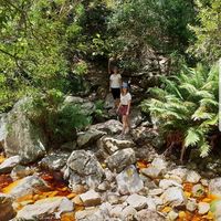 Heike von Petersdorff's Photo