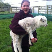 Marina Steinle's Photo