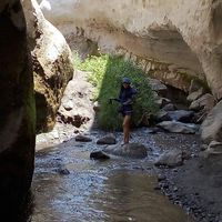 Gladys Aliaga's Photo