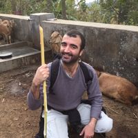 Fotos von Mustafa Özkan Öztürk