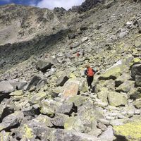 Coletta Franzke的照片