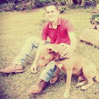 diego  Camargo lemus的照片