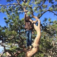 James Risberg的照片