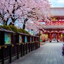 TOKYO TOUR's picture