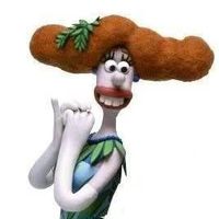 Campanula Tottington's Photo