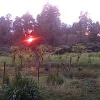 Jeff Hamilton's Photo