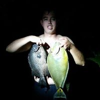 Fotos de Matthew Long