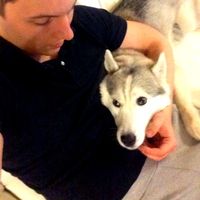 Igor Iatluk的照片