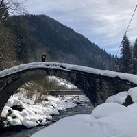 Michaela Salisova's Photo