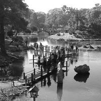 Lucas Burgin的照片