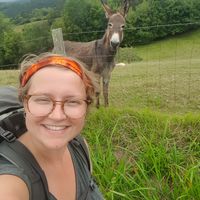 Nina Reichert的照片