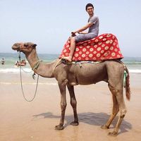 Nicholas Goody's Photo