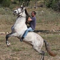 Francisco Javier Heredia Hoyos的照片