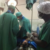 RONNY GUEDIA的照片