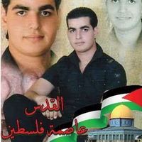 Mohammad Hamoude的照片