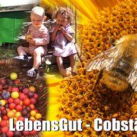 ThoJoh Drolshagen's Photo