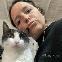 Фотографии пользователя Nayla Alemanno